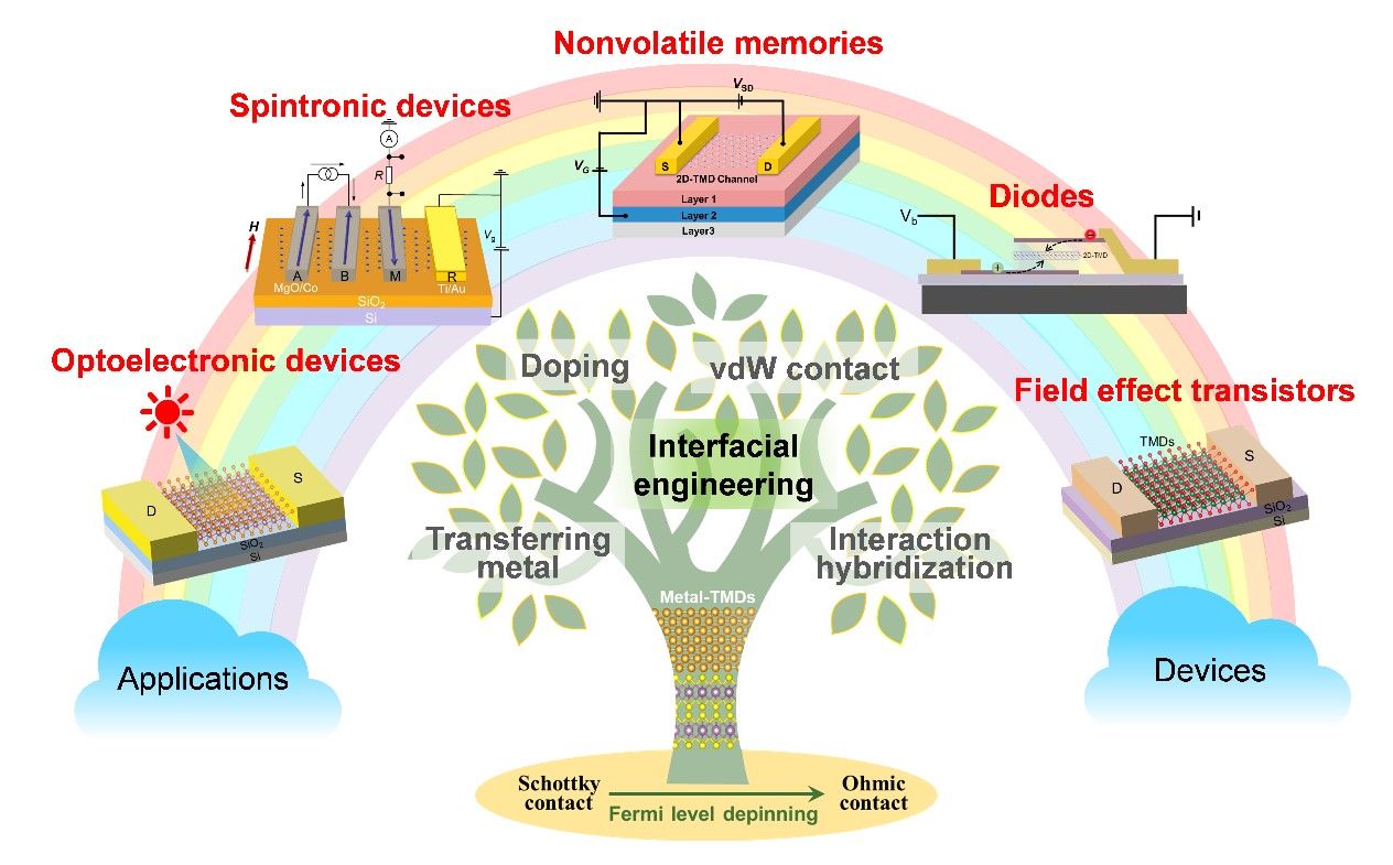 20241017-8.jpg 20241017-8.jpg